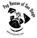 Pug Rescue of San Diego
